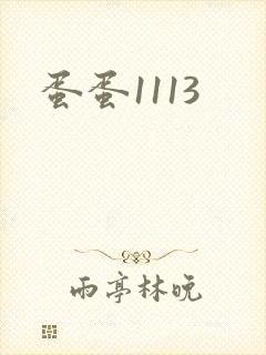蛋蛋1113