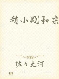 赵小刚和宋雨晴