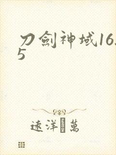 刀剑神域16.5