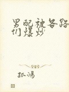 男配被各路大佬们爆炒