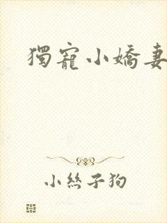 独宠小娇妻