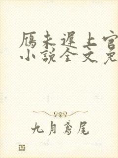 雁未迟上官穿越小说全文免费阅读