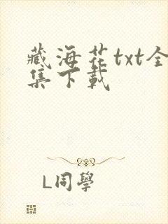 藏海花txt全集下载
