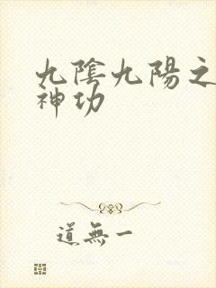 九阴九阳之阴阳神功