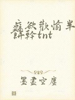 瘾欲欢愉半块小饼干tnt