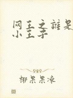 网王之谁是我的小王子