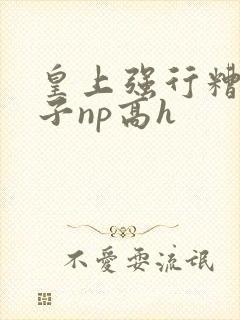 皇上强行糟蹋太子np高h