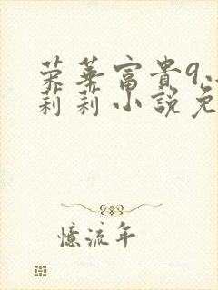 荣华富贵9小王莉莉小说免费阅读