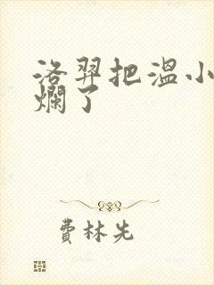 洛羿把温小辉做烂了