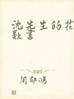 沈先生的花式调数书