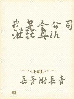 我是全公司的发泄玩具ih