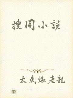 搜同小说