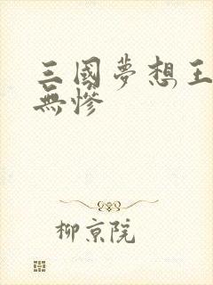 三国梦想王元姬无惨