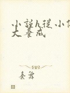 小说h从小做到大养成