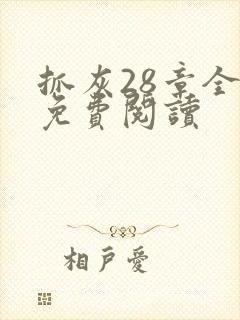 抓灰28章全部免费阅读