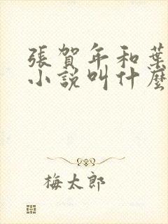 张贺年和叶繁姿小说叫什么名字