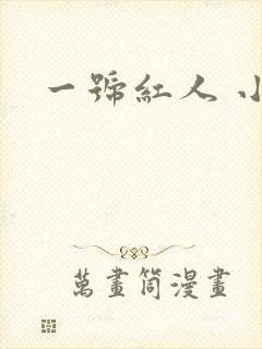 一号红人 小说