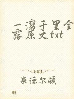 一泻千里金银花露原文txt