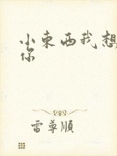 小东西我想弄坏你