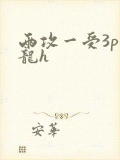 两攻一受3p双龙h