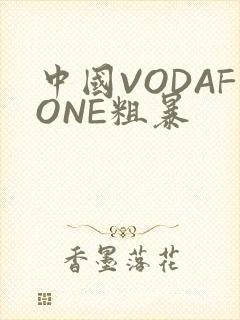 中国VODAFONE粗暴