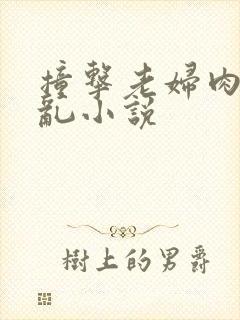 撞击老妇肉体之乱小说