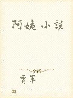 阿姨 小说