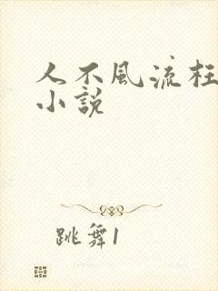 人不风流枉少年小说