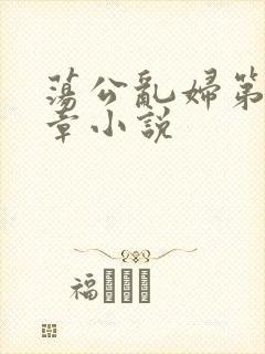 荡公乱妇第51章小说