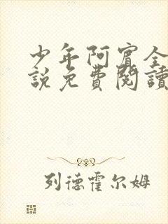 少年阿宾全文小说免费阅读笔趣阁