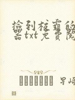 捡到校霸的遥控器txt免费阅读