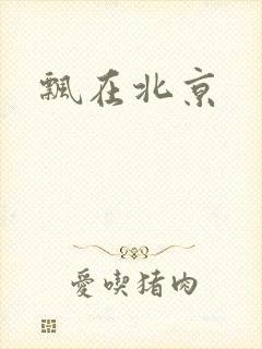飘在北京