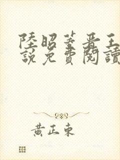 陆昭菱晋王的小说免费阅读