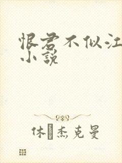 恨君不似江楼月小说