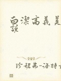 白洁高义美红小说