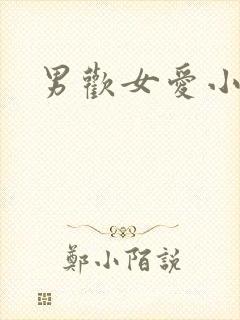 男欢女爱小说