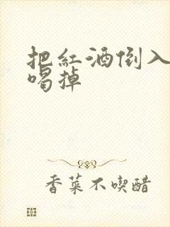 把红酒倒入b里喝掉