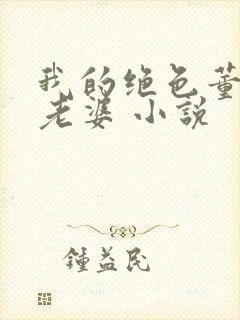 我的绝色董事长老婆 小说