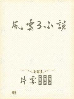 风云3小说