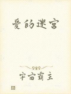爱的迷宫