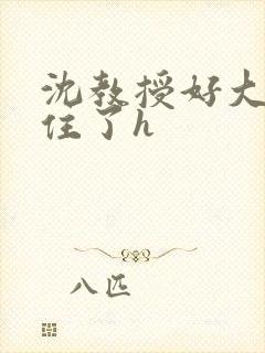 沈教授好大含不住了h