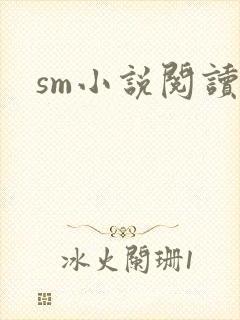 sm小说阅读