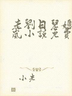老刘日儿媳妇张岚小说免费阅读