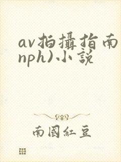 av拍摄指南(nph)小说