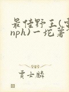 最佳野王(电竞nph)一坨薯饼