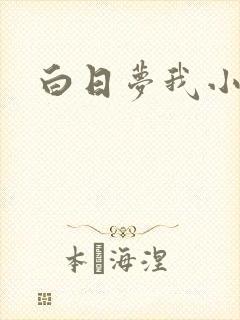 白日梦我小说