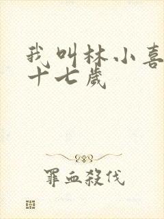 我叫林小喜今年十七岁