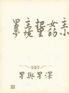 男主把女主拖进梦境里的小说