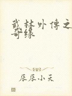 武林外传之同福奇缘