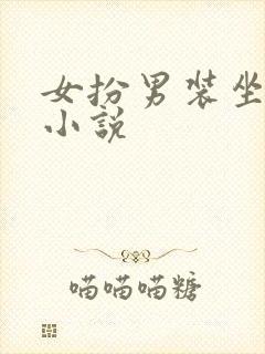 女扮男装坐江山小说